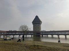 -九龙湖公园