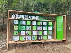 -上海佘山国家森林公园天马山园