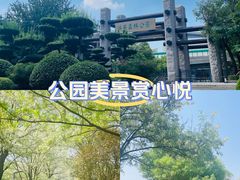 -济南森林公园