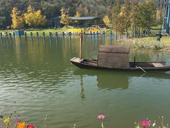 -千年银杏谷文化旅游区