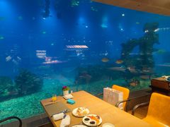 -涛·海底餐厅·美人鱼·自助餐·海底隧道(三亚海棠湾洲际度假酒店)