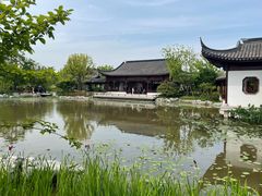 -上海滨江森林公园