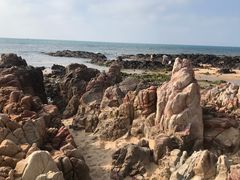-海南棋子湾开元度假村·祺咖啡自助餐厅