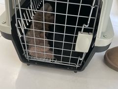 -喜多萌中农锦绣动物医院24H·猫科·牙科MRI·CT
