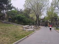 -丰台花园