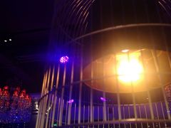 -蝴蝶汇音乐酒馆(罗湖店)