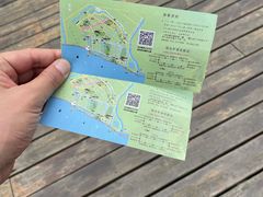 -合肥滨湖国家森林公园