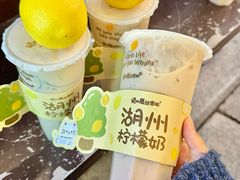 -猫的魔法密林(衣裳街店)