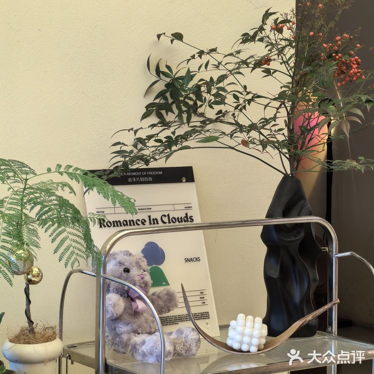 只在此山中，云深不知处