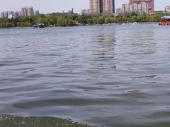 -济南大明湖景区