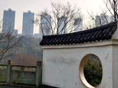 -重庆彩云湖湿地公园