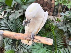 -南宫五洲植物乐园