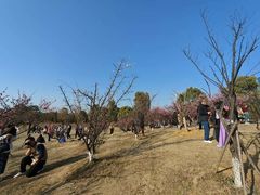 -艾溪湖湿地公园