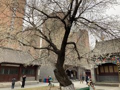 -护国法轮寺