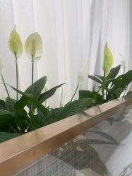 -悟空祛痘·诺奖技术专业店