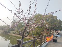 -上海海湾国家森林公园