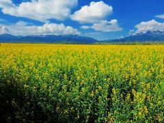 -扁都口生态休闲旅游区