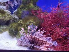 -多彩贵州城极地海洋世界