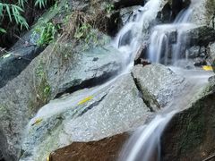 -火炉山森林公园