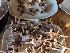 -陶老爷城一锅羊蝎子(西四路店)