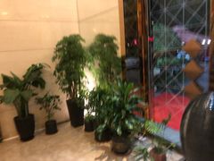 -汤泉良子·沐足·颂钵疗愈·SPA(珠江新城店)