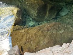 -崂山九水游览区