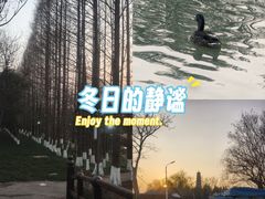 -祥源·阜阳生态乐园