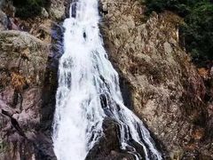 -温州永嘉书院