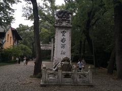 -灵谷景区