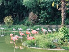 -杭州野生动物世界