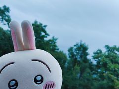 -紫金山山顶公园