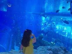 -成都浩海立方海洋公园