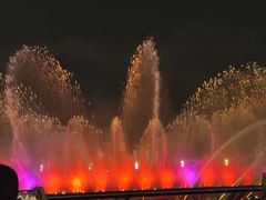 -秋水广场音乐喷泉