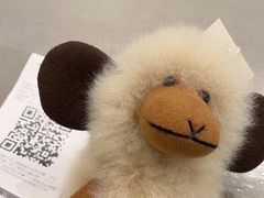 -the balancing(东方店)