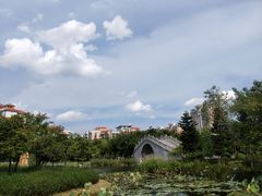 -映月湖公园