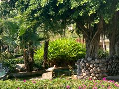 -三亚亚龙湾天域度假酒店