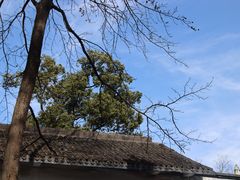 -一江春水·杭帮臻宴(三台山店)