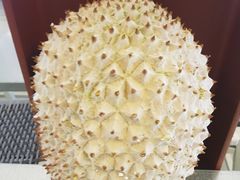 -都念榴莲·城市榴莲