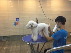 -PETKIT小佩宠物(古北店)