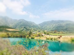 -龙坞茶村
