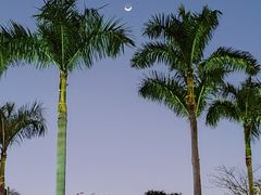 -广州文化公园