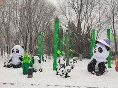 -沈阳奥体冰雪嘉年华