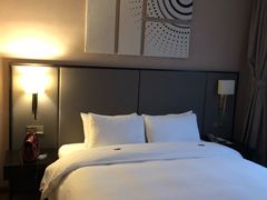 -和颐至尊酒店(上海徐家汇桂林公园地铁站店)