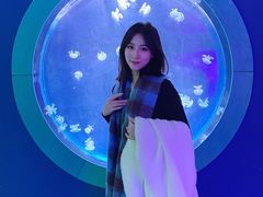 -左海海底世界