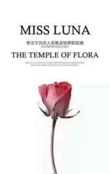 -韩国艺匠ARTIZ STUDIO(博览中心店)