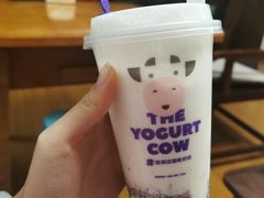 -一只酸奶牛(时代天街A馆店)