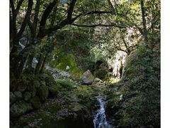 -九宫山风景区