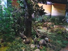 -陕西自然博物馆