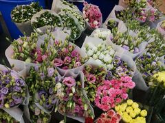 -双季花艺园艺市场(浦东店)