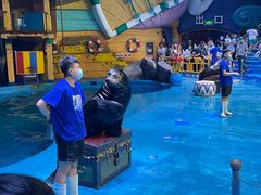 -烟台海昌鲸鲨海洋公园